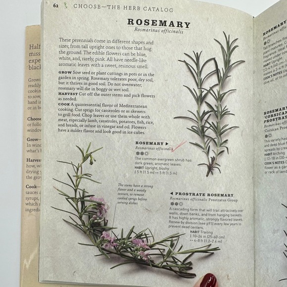 French Bistro Cookbook Lot 2 Steak Frites Herb Garden DK 2003 2010 Hardcover - Picture 7 of 10